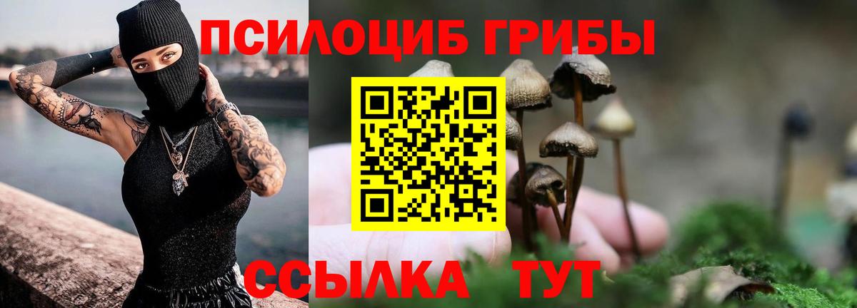 Галлюциногенные грибы мухоморы  Вход с VPN  Галлюциногенные грибы прущие грибы  Рузаевка 